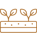 Herb Garden