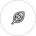 icon1