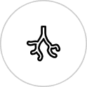 icon1